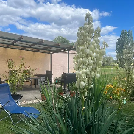 Ferienhaus Haus Bernsteinsee Mit Goitzsche-schnuppersegeln *
